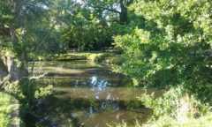 Construire à Haute-Goulaine -  Plan d&rsquo;Eau de la Treille