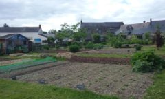 Construire à La Grigonnais -  Le Jardin Partagé d&rsquo;Anna