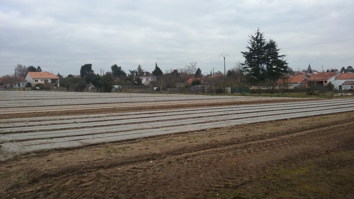Terrain de 459m² au Pallet - Les Censives au Pallet