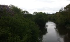 Construire à Monnières -  La Sèvre depuis le Pont 2