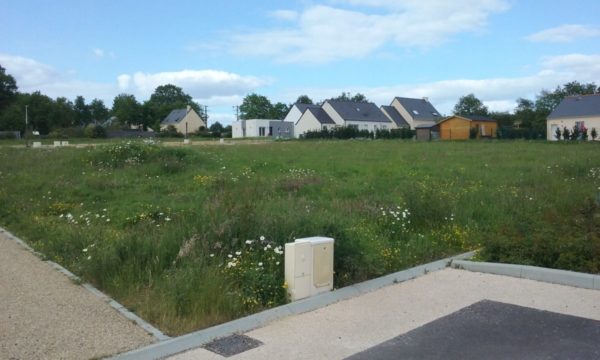 Terrain de 437m² à La Grigonnais - Vue depuis Lot 42 vers le Nord-Est - Mon Projet Maison, Constructeur de Maisons en Loire Atlantique 44