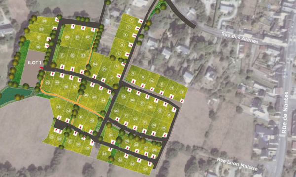 Terrain de 402m² à Petit-Mars - Plan Masse